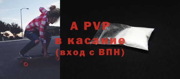 крисы Каменногорск