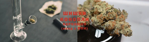 крисы Каменногорск
