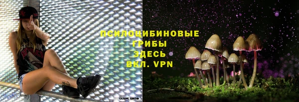 крисы Каменногорск