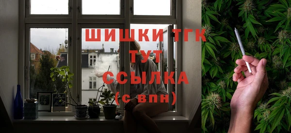 крисы Каменногорск