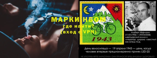крисы Каменногорск