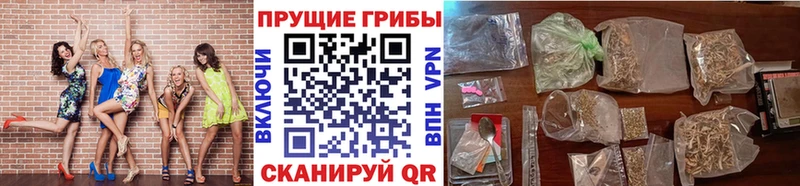 Купить  Лосино-Петровский  Псилоцибиновые грибы ЛСД 